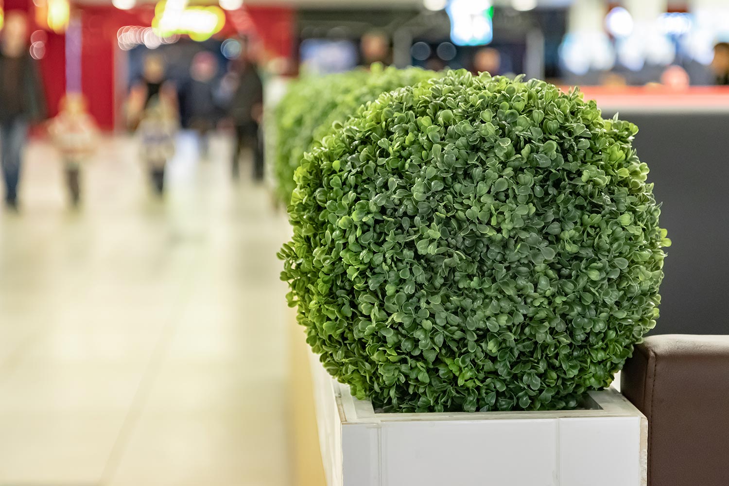 artificial plants in retail shopping centre